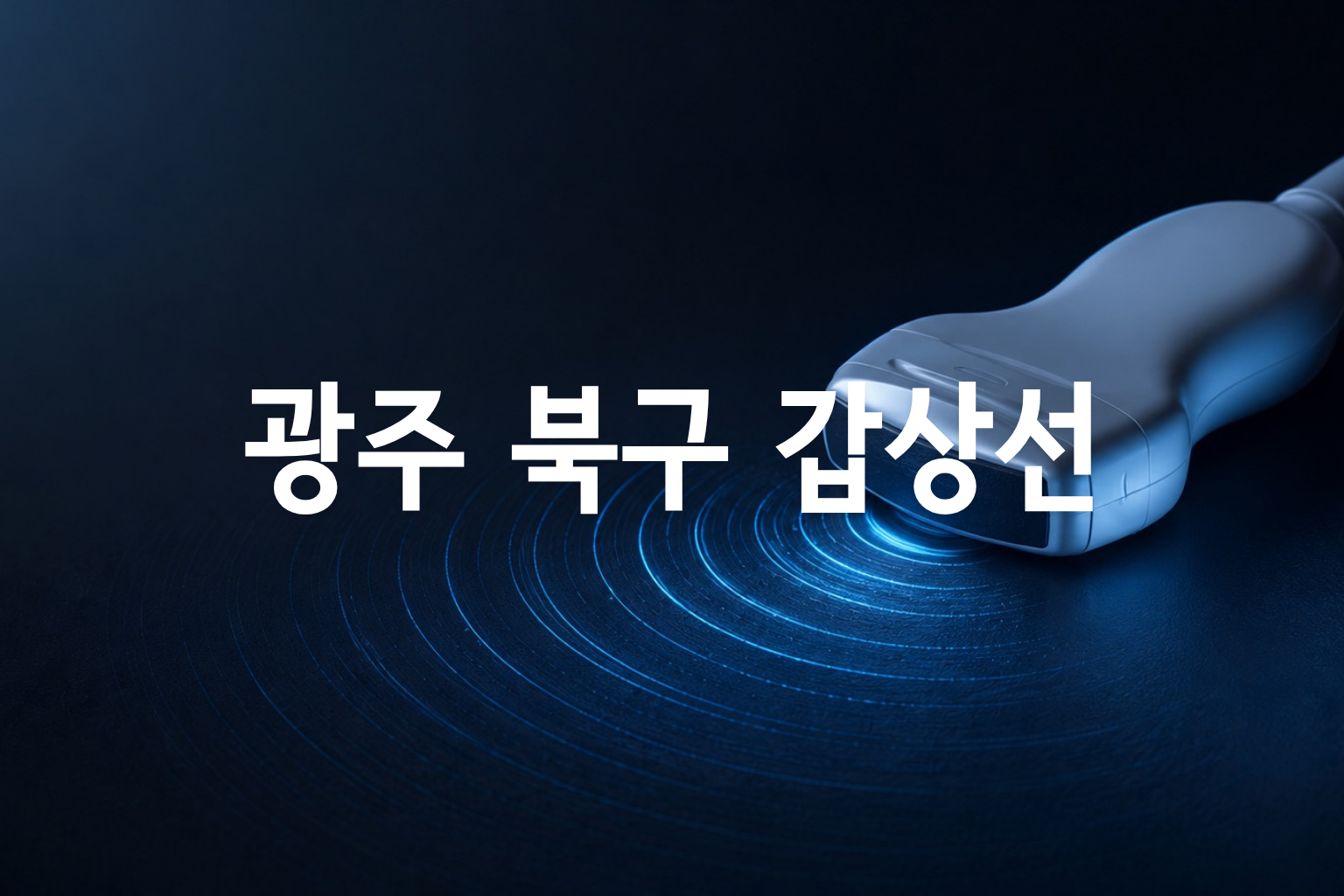광주 북구 갑상선 초음파 비용 — 20곳 가격 요약