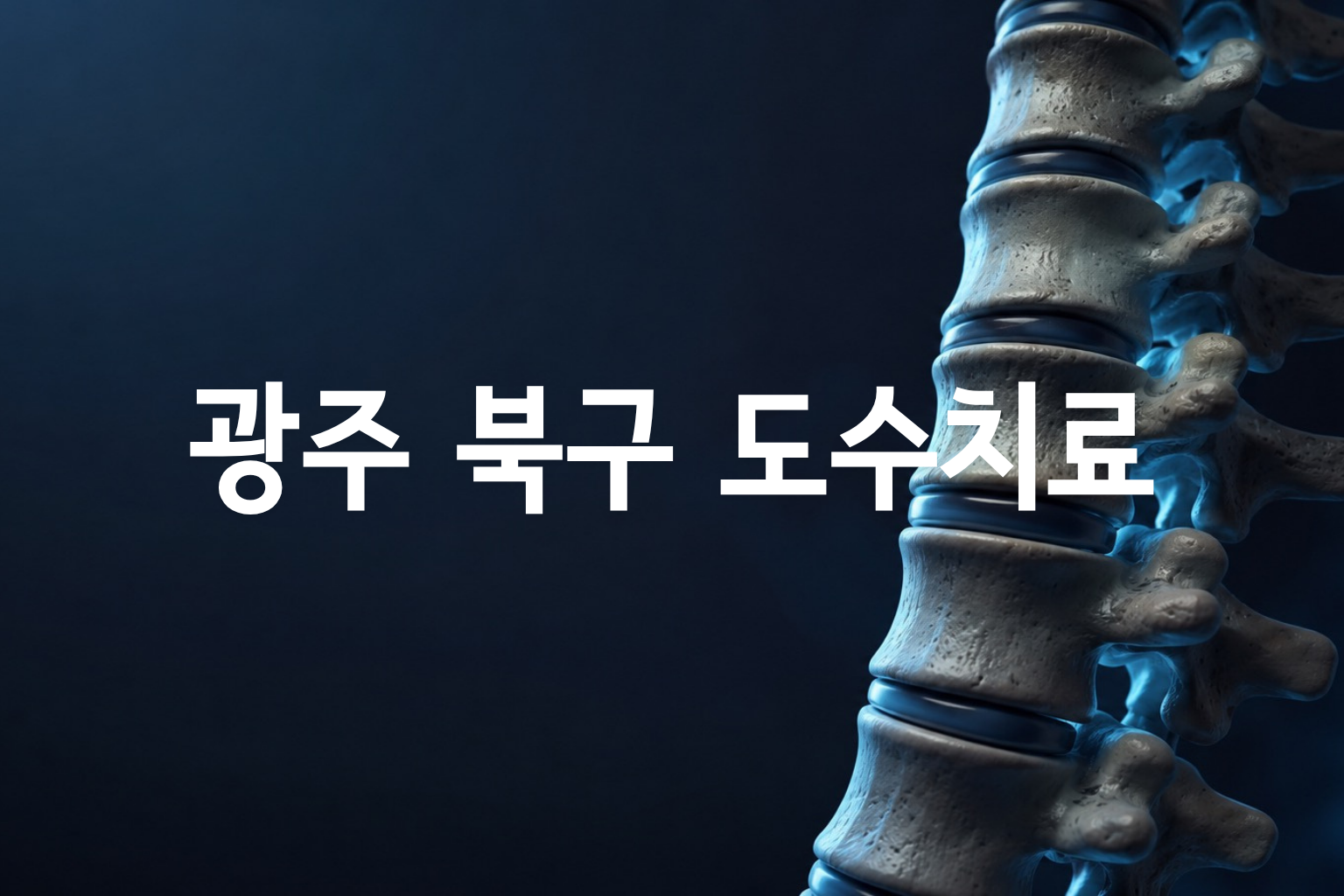 광주 북구 도수치료 가격 분석 — 58곳 병원별 비교·분포