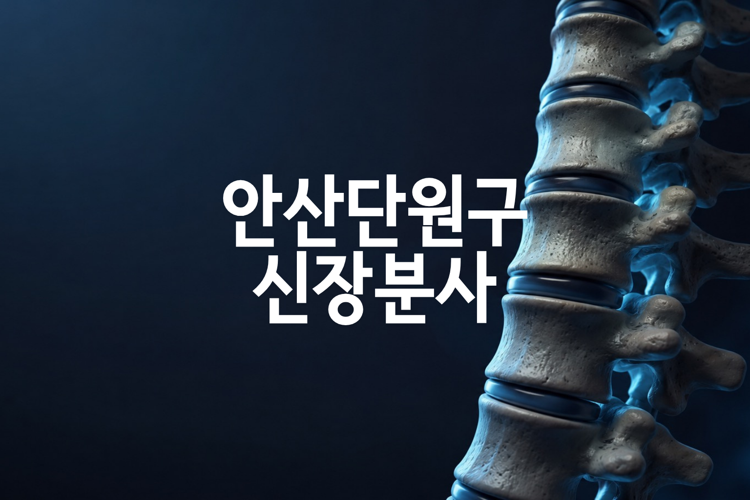 안산단원구 신장분사치료 가격 분석 — 23곳 병원별 비교·분포