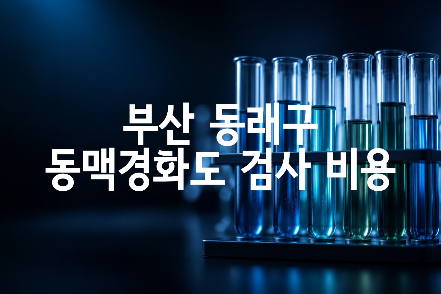 부산 동래구 동맥경화도 검사 비용 — 11곳 가격 요약