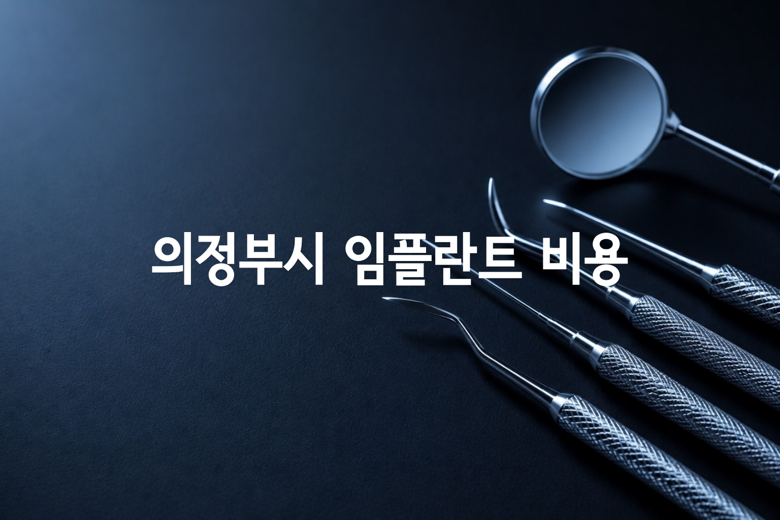 의정부시 임플란트 비용 — 7곳 가격 요약