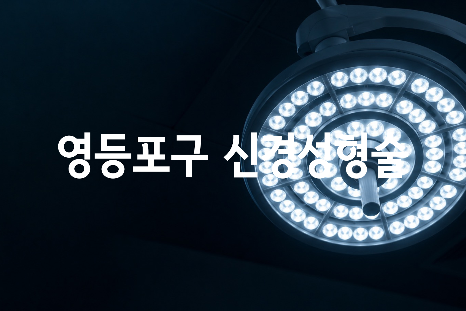 영등포구 신경성형술 비용 — 10곳 가격 요약