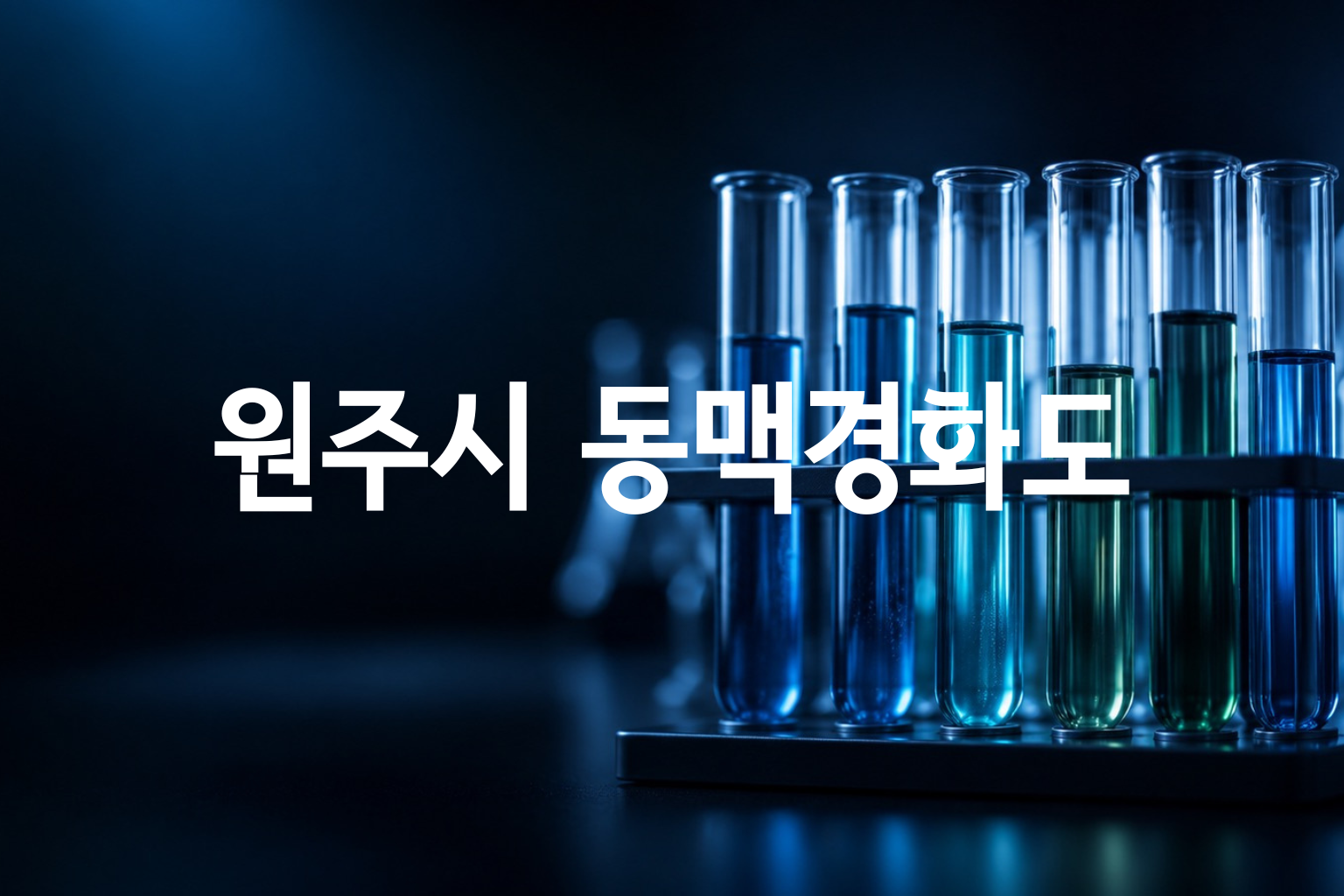 원주시 동맥경화도 검사 비용 — 6곳 가격 요약
