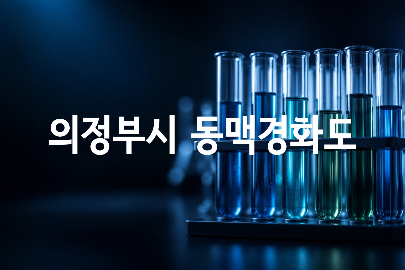 의정부시 동맥경화도 검사 비용 — 9곳 가격 요약