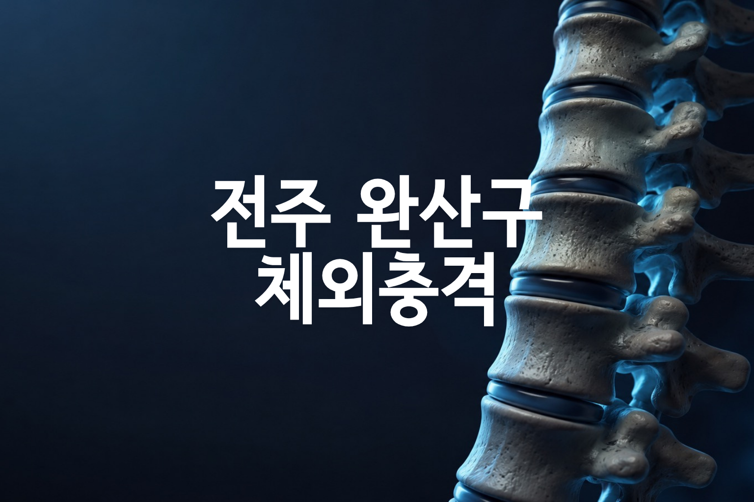 전주완산구 체외충격파 가격 분석 — 28곳 병원별 비교·분포